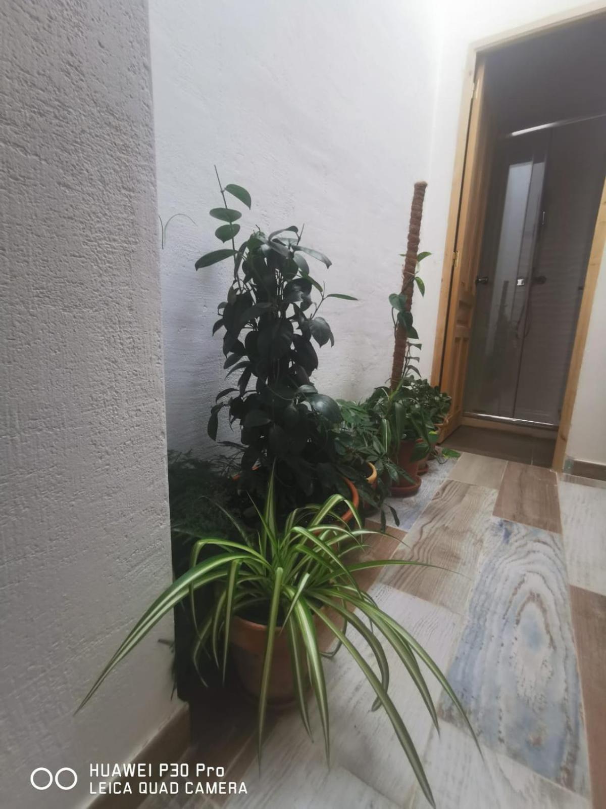 Cassa Beata En La Colina Apartment Кулера Екстериор снимка